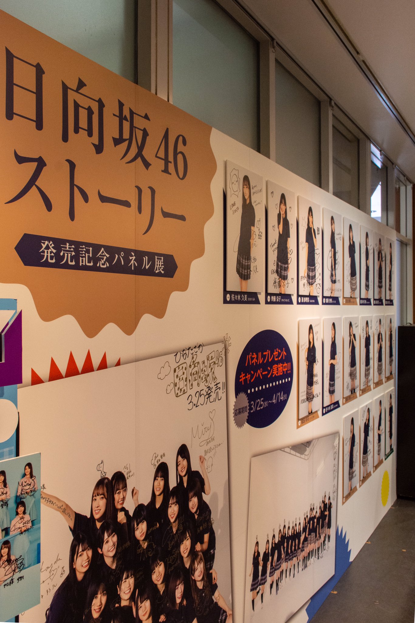 日向坂46ストーリー』公式 on X: 