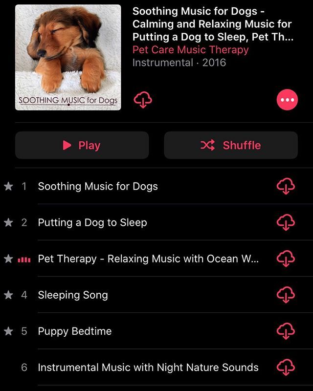 SilvsCamp's tweet photo. For my fellow fur parent(s), this album is the real deal! The ambient sounds put my sweet Leo down fast. Highly recommend it. Available on iTunes. https://t.co/YcSYun9ErQ https://t.co/vkJTeL8tTH