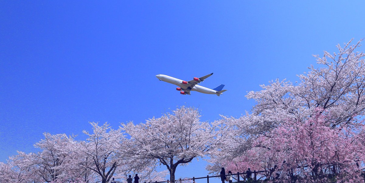 Hilton Narita 成田の桜名所のひとつ さくらの山 は今が見どころ 成田空港の北側に位置するさくらの山は お花見だけ ではなく 咲き誇る桜の木の下で航空機の離着陸を 眺めることもできる写真スポット でもあります ヒルトン成田 から車で10分 Hilton Narita 成田の桜名所のひとつ さくらの山 は今が見どころ 成田空港の北側に位置するさくらの山は お花見だけ ではなく 咲き誇る桜の木の下で航空機の離着陸を 眺めることもできる写真スポット でもあります ヒルトン成田 から車で10分