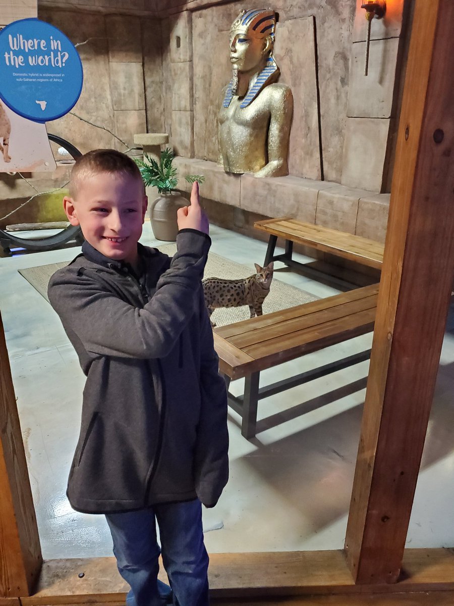 Monticello Mustangs VHSL Athletics & Activities tweet media