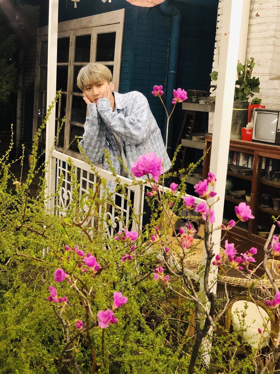 Stray Kids tweet media