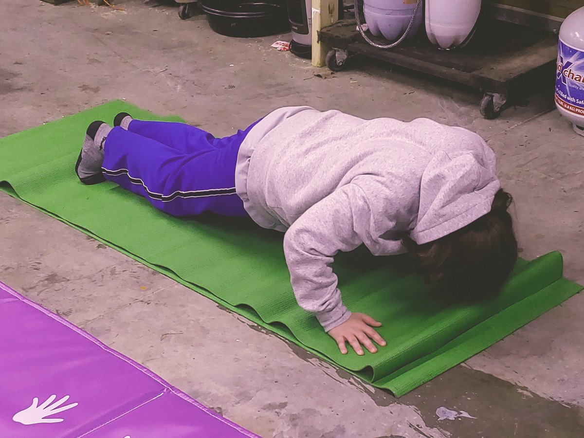 HeatherTesar's tweet photo. Anthony is working hard at his pushups today! We've completed 4 classes today so exercising was a great way to end the day! He's sporting his UK team spirit too! 
#HouseCourage 💛💛
@BriarwoodES @MrsShaw5thGrade @BriarwoodPE
#BEworker #BEfit #BEspirit https://t.co/uy3r9UFf8d