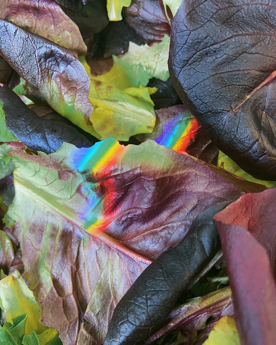 Working together to find the bright spots in each day 💚