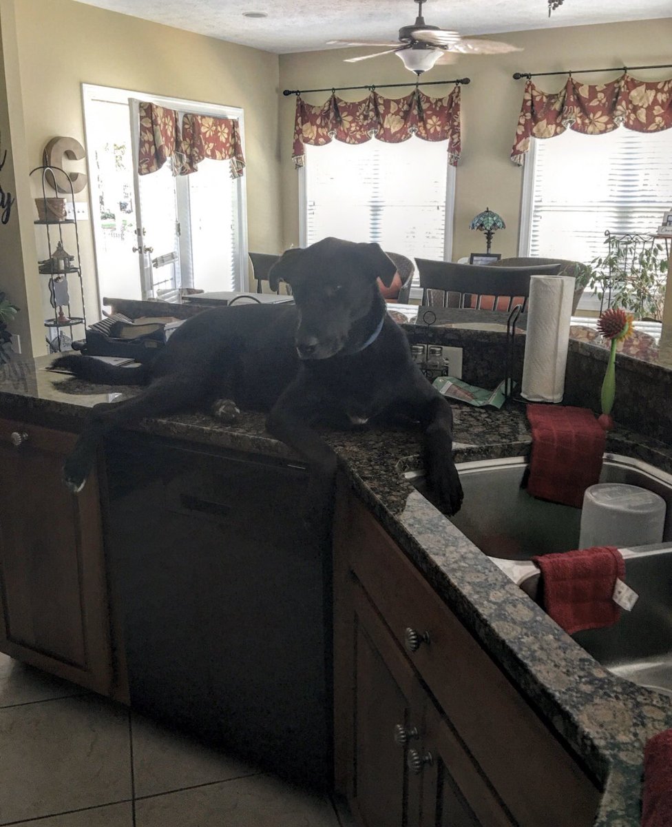 zippyman818's tweet image. *Your results may vary. #kitchen #Grothouse #butcherblock