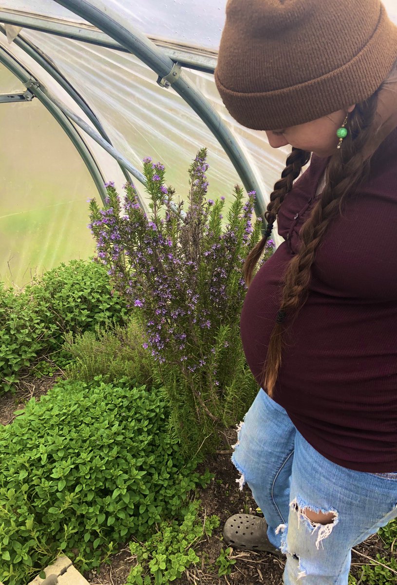 Rachel Salmon tweet media