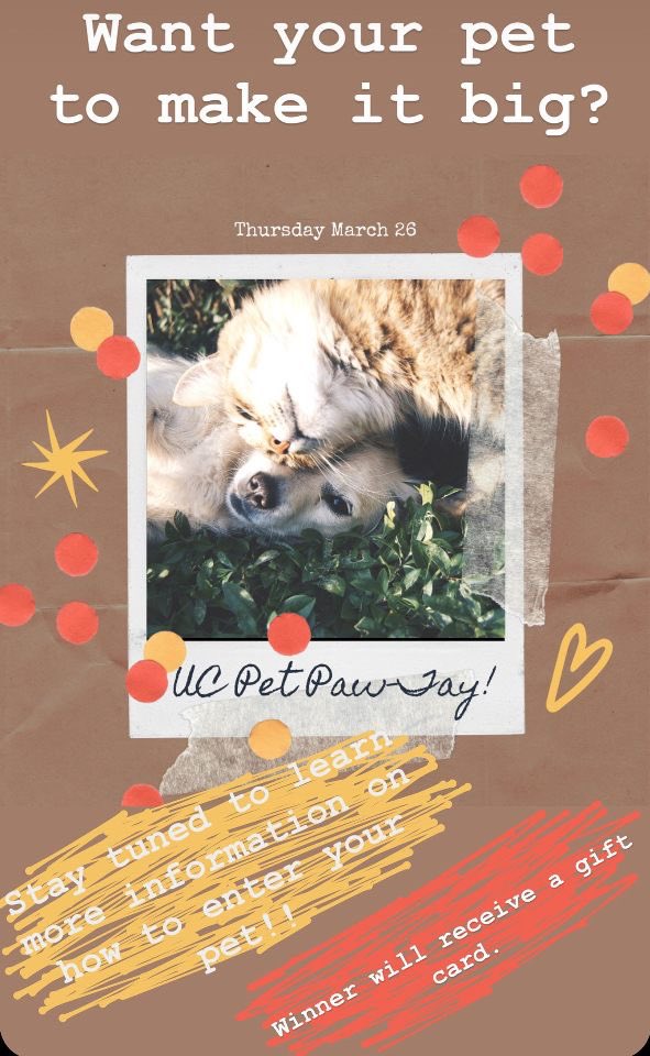 UC_StudentLife's tweet image. Pet Paw-Tay coming soon ❤️💛 #VirtualProgramming