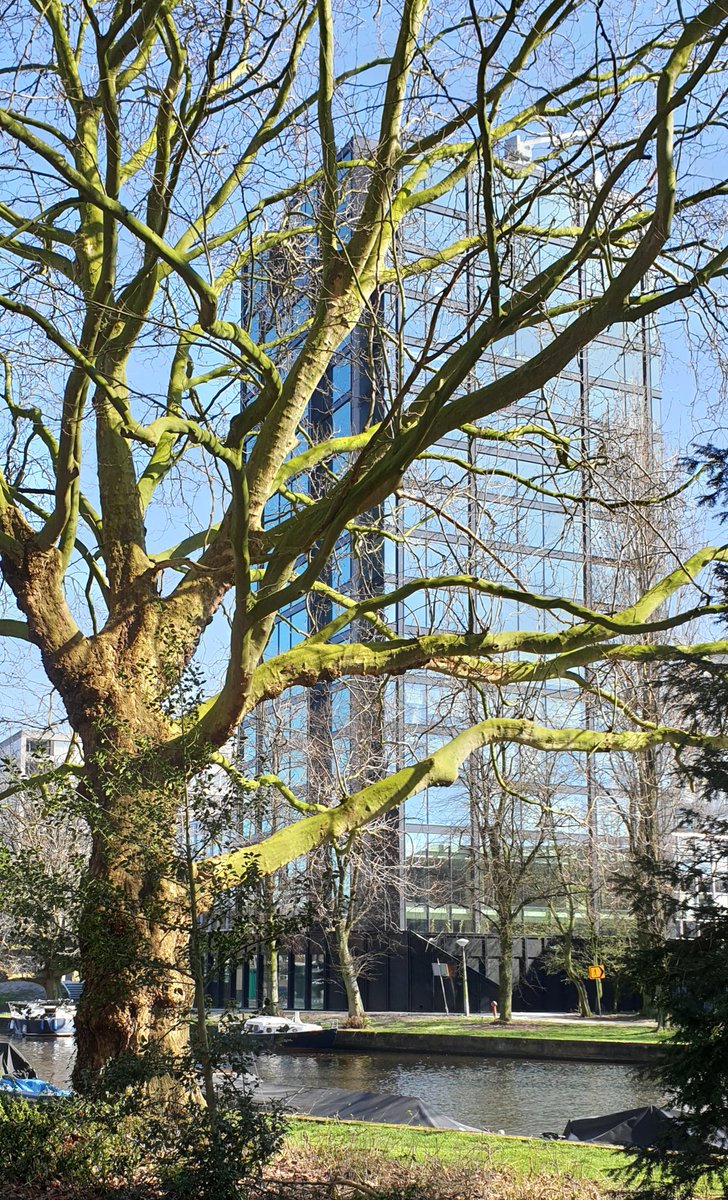 huugvanooijen's tweet photo. Blue
#Stadionkade #Amsterdam https://t.co/UOfUz7UjIw