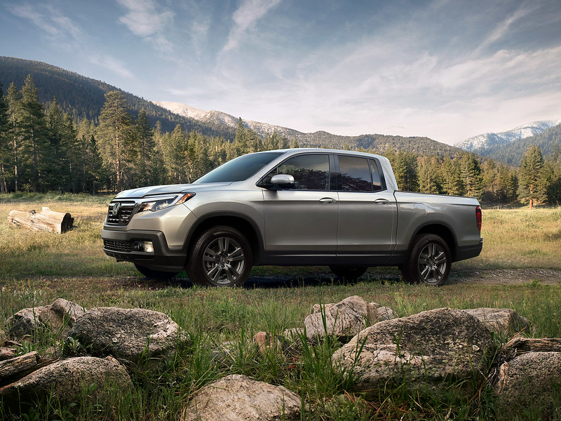 WolfchaseHonda's tweet photo. Need an escape from reality? Why not explore nature! 🌄 https://t.co/ROeYoekvLM