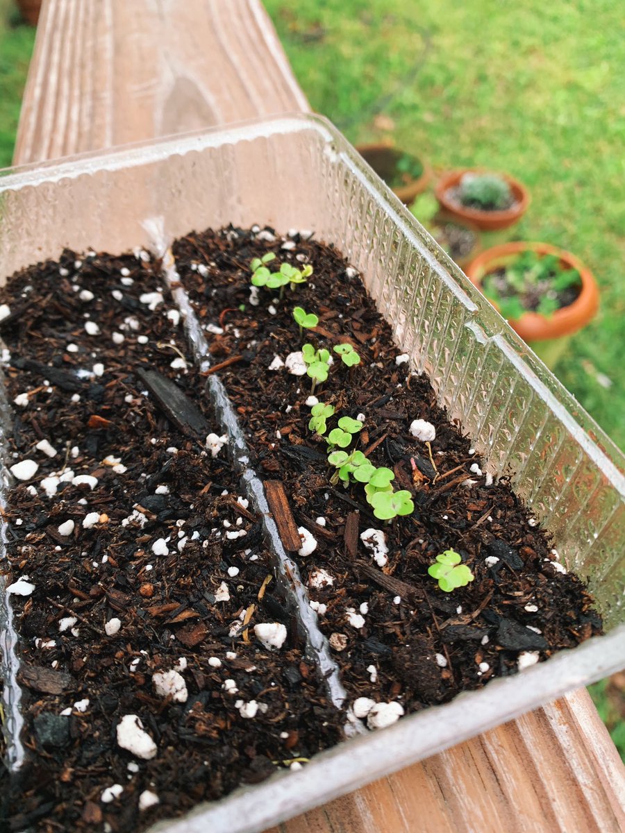 Slow Food Columbia tweet media