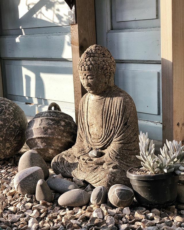 Susie_RayStudio's tweet photo. Evening light on the Buddha, lucky to have my greenhouse to potter around in, It’s my happy place.....!
.
.
.
#greenhouse #buddha #eveninglight #calming #restful #plantlife #beautiful #love  #instagood #picoftheday #spring #eveninglight #cornwall #cornwa… https://t.co/BFqdZapjau https://t.co/yrT6agIru7