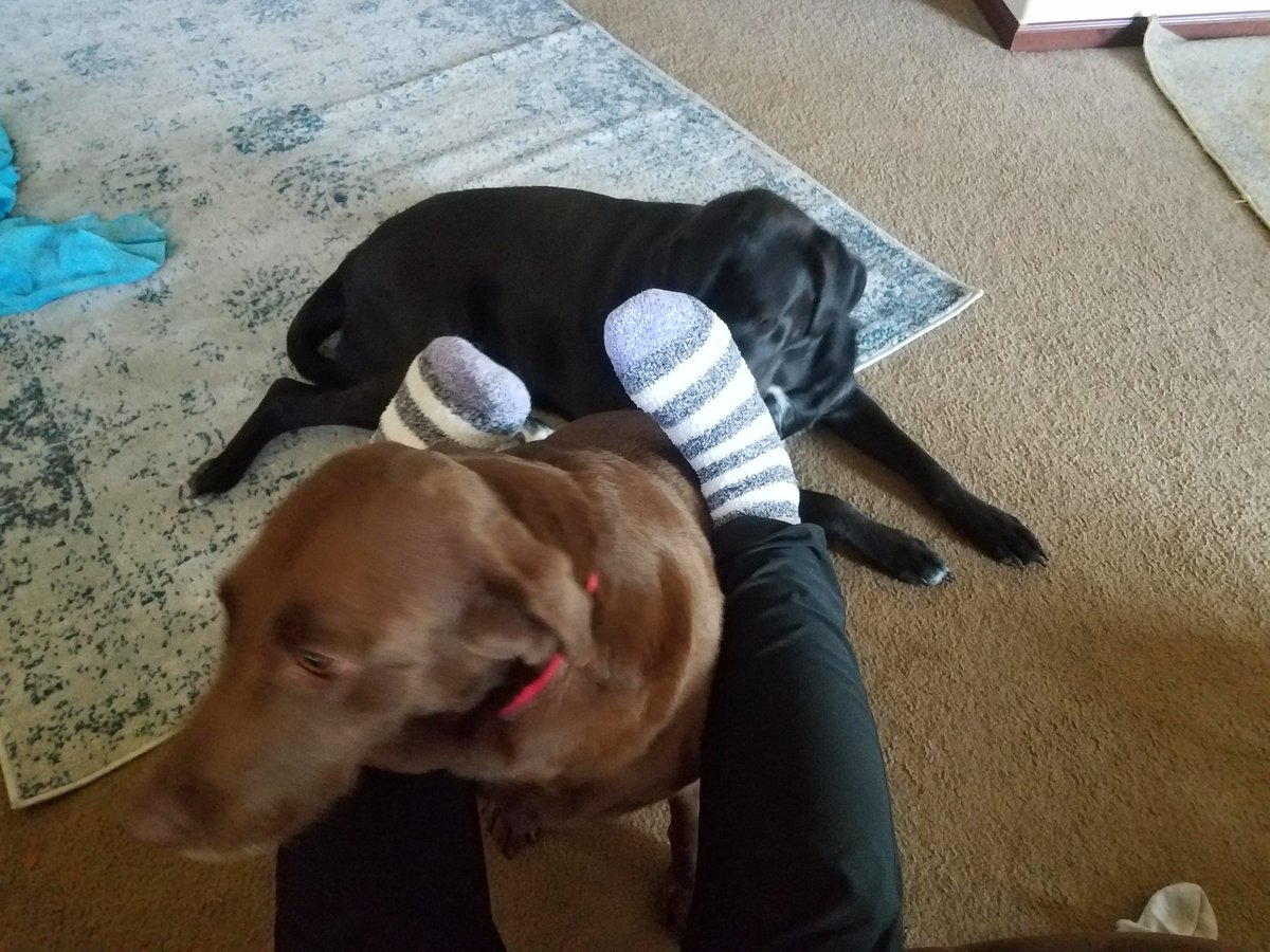 SShepReads's tweet image. #spiritweekchallenge Day 2 @CHSROYALARMY @MrKuchCHS