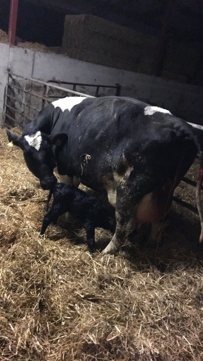 Sean Brennan tweet media