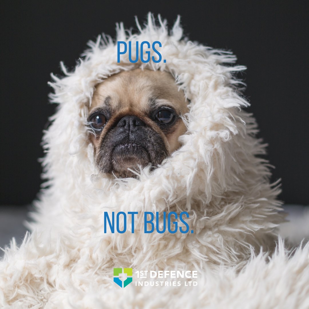 Stay Home With Your Pets, Not Bugs.
.

#1stDefence #entomologist #Entomology #PestControl #IPM #IndustrialGrade #Defence #Covid19 #StayHome #CoronaVirus  #PetBeds #Residential #RealEstate￼￼￼￼ #PetLovers #BugLife #PugLife #PugsofInstagram #InstaPugs #PestManagement #PMP