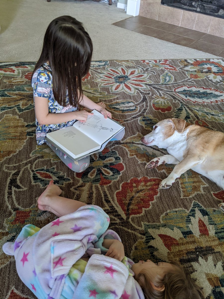 kelley_og's tweet photo. Reading to a pet (and bonus: little sis) is the #eseSOAR  challenge today! @HumbleISD_ESE  #petlove #booklove #wherethesidewalkends https://t.co/kTqztDdPc9