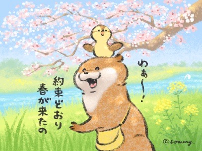 「カワウソ」のTwitter画像/イラスト(新着)｜5ページ目)