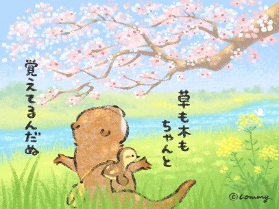 「約束どおりなの?
#桜 #カワウソ 」|可愛い嘘のカワウソ 🍮東京駅POPUP SHOP4/13まで＆書籍5巻4/1発売のイラスト