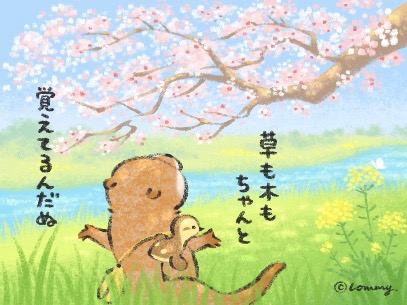 「桜 瞑目」のTwitter画像/イラスト(人気順)