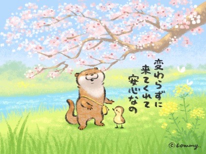 「桜 空」のTwitter画像/イラスト(人気順)