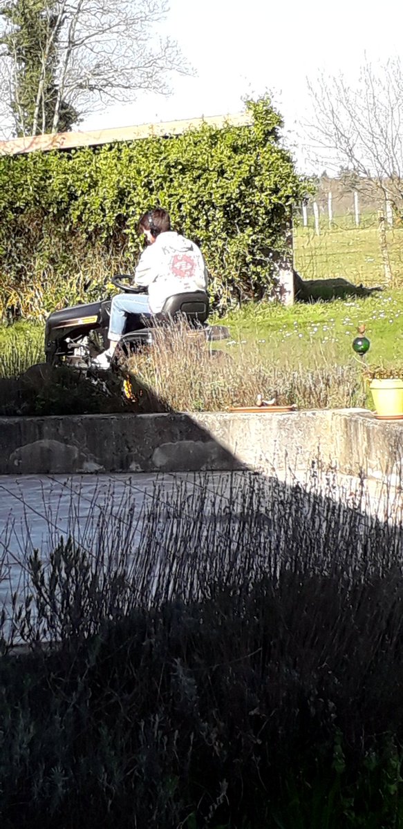ADel875's tweet photo. #fenetreouverte le soleil brille mais le fond de l'air est frais. Je fais travailler #filsunique je vais pas le nourrir a rien faire 🙈🙈 #CONFINEMENTJOUR7 https://t.co/mXqsMeV9LQ