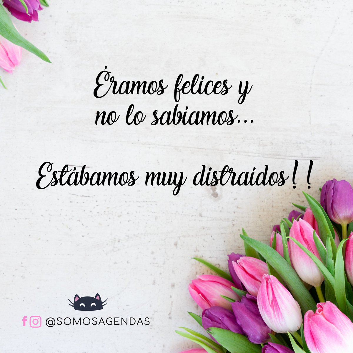 Angeles_Ruffo's tweet photo. ❤️❤️ https://t.co/6hqvfQe3zY