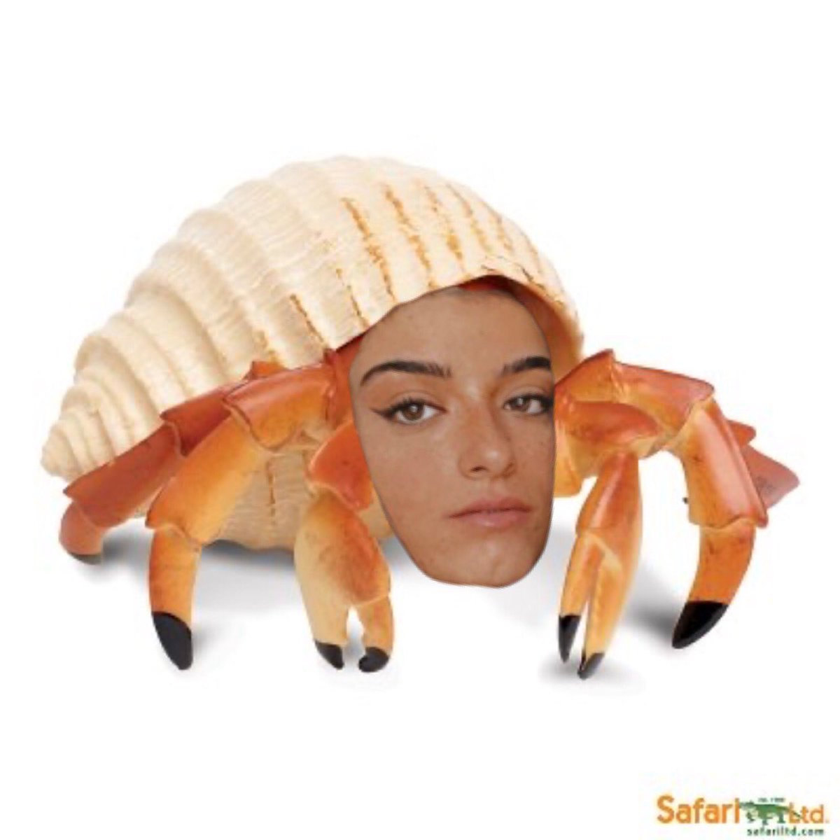 dixie_as's tweet photo. @dixiedamelio as a hermit crab https://t.co/gwYPK9YAOF