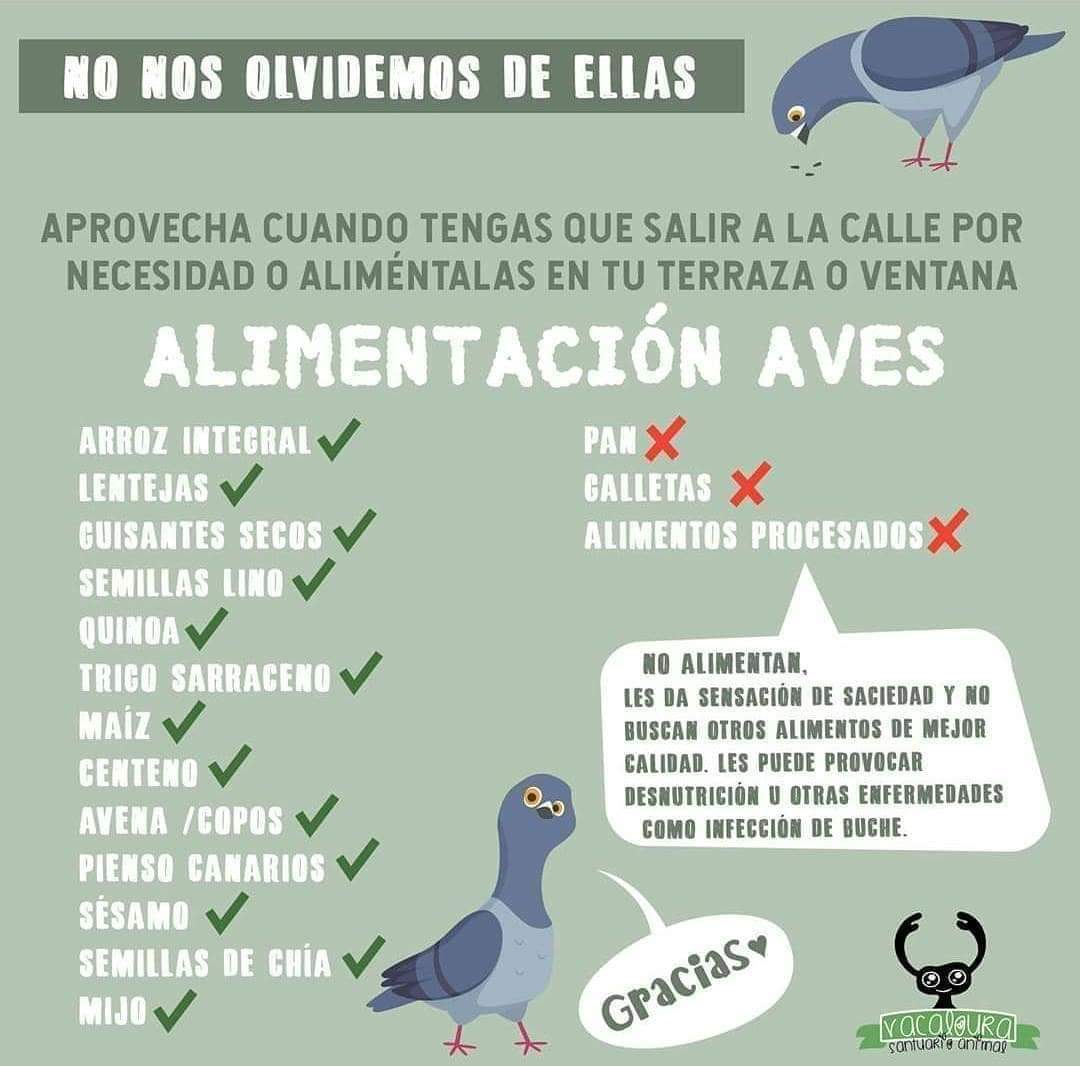 Bienestar Animal Retiro tweet media