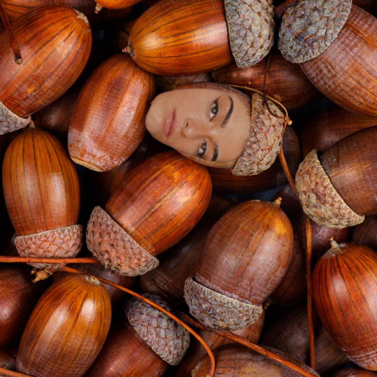 dixie_as's tweet photo. @dixiedamelio as an acorn https://t.co/BLlbsYOC5p