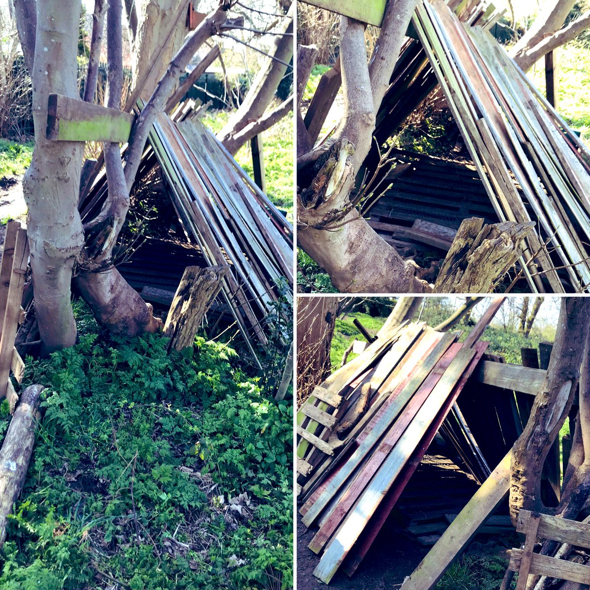 All_SaintsCofE's tweet photo. 🌳This afternoon our school-based learners had a relaxing afternoon building dens in the sunshine🌳
What have you been up to at home today, All Saints learners?
#ForestSchool #SelfRisk #ForestSchoolDens #Spring #ChildLeadLearning #LearningNeverStops https://t.co/uQ9yXjoRGb