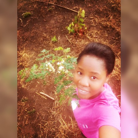 My nursery sagged by the rain this afternoon, but luckily my surviving plants make me smile
#It'snoeasy