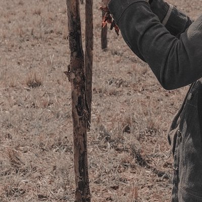 walkerdeadw's tweet photo. 14×10 - look at the flowers. 🥀 https://t.co/h7tt4T7MzU