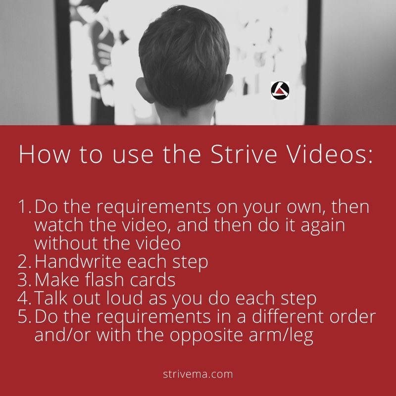 Strive Martial Arts (@StriveMA) / Posts / X