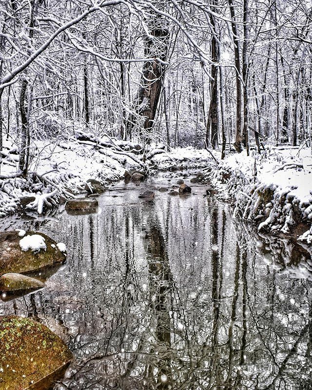 brockawillis's tweet photo. Winter walk in the forest. #nature #naturephotography #landscapephotography #naturalindiana #indiananature #myindiana #igersindiana #igersindy #shotonnikon #reflection #forest #nikon #nature #nikonusa #visithc #nikond5600 #indiana_explored #trees #goexpl… https://t.co/ytneEyhMlR https://t.co/RDP5QdUYIJ