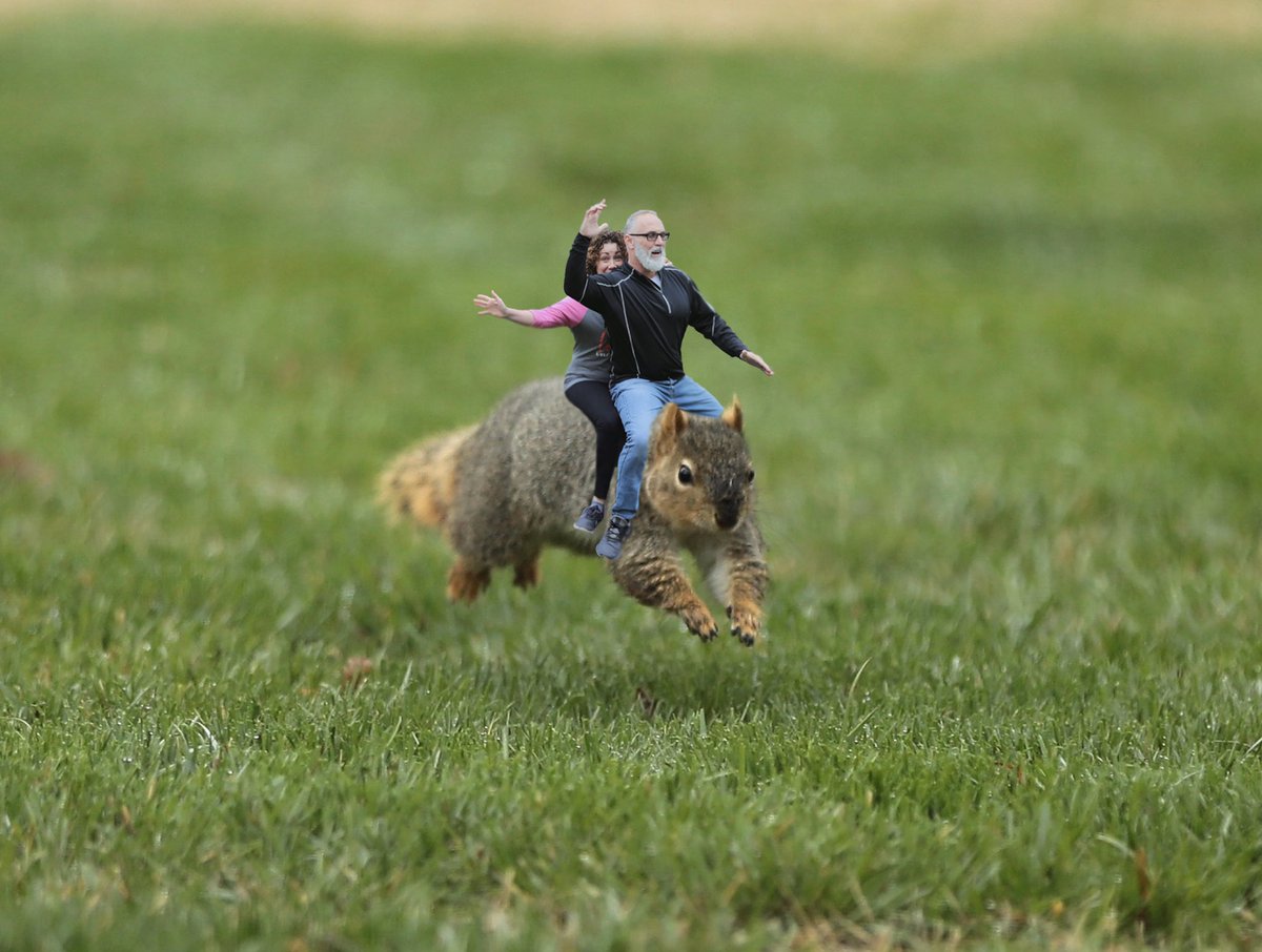 Will all this extra time in the evenings Jana and I have been able to go on a lot of adventures right in our own back yard. <a href="/vcjhogan/">Jana Hogan</a> <a href="/coronavirus/">Corona</a> #selfquarantine #squirrel #adventuretime