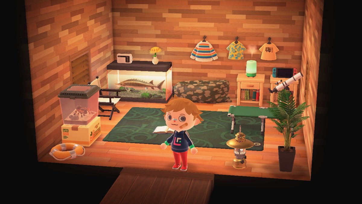 #AnimalCrossing #ACNH #NintendoSwitch