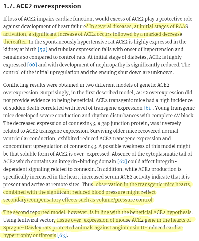 ACE2 of the heart: From angiotensin I to angiotensin (1–7)"Elevated ACE2 expression at the initial stage of several pathologies which decline w/ progression of disease might indicate a protective role for ACE2." https://academic.oup.com/cardiovascres/article/73/3/463/367423