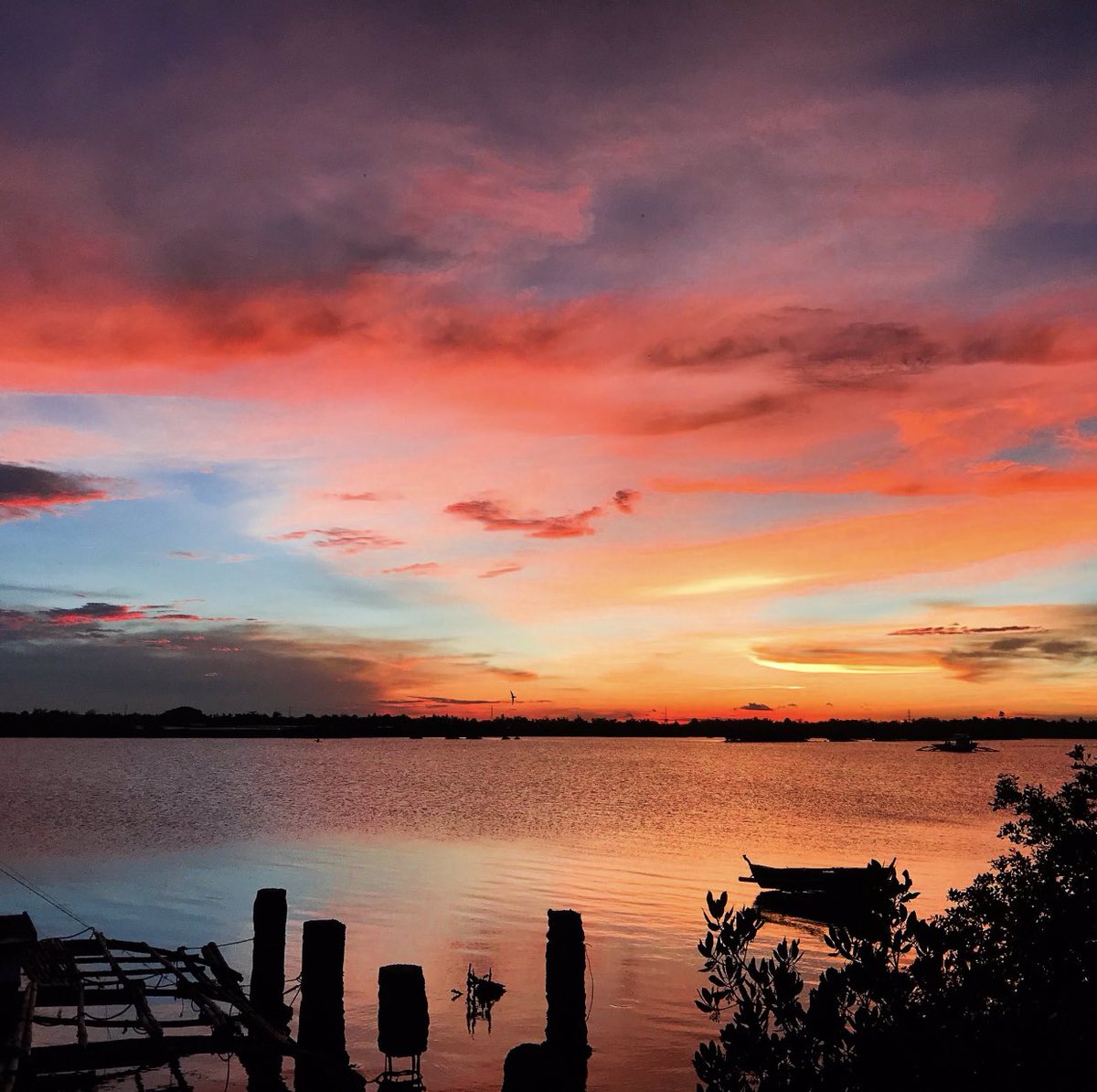 feeling_sunset's tweet photo. https://t.co/qeDgVugOvi