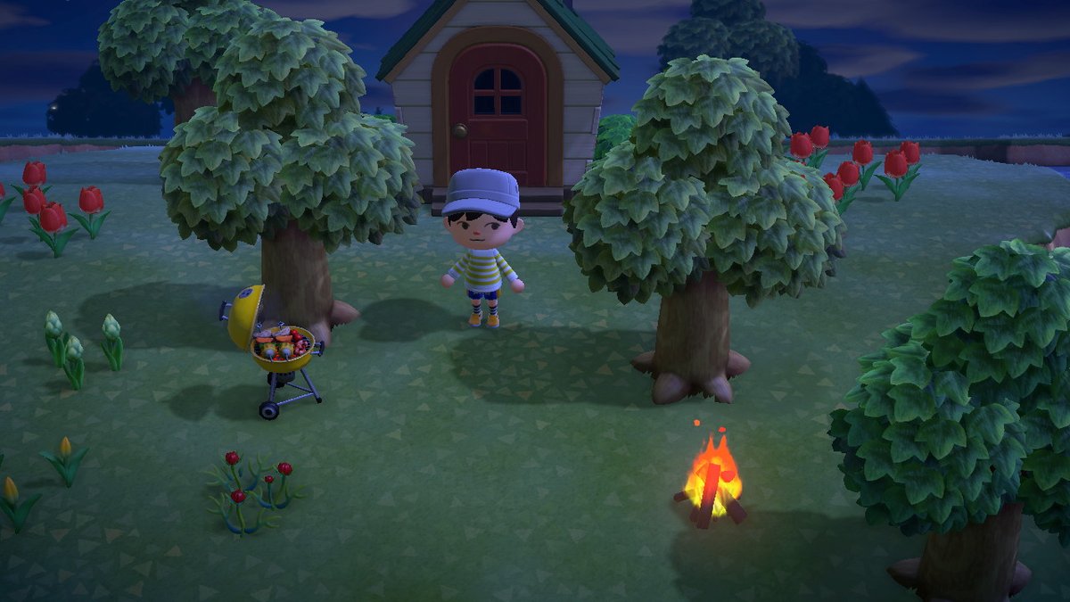 msarge's tweet image. #AnimalCrossing #ACNH #NintendoSwitch