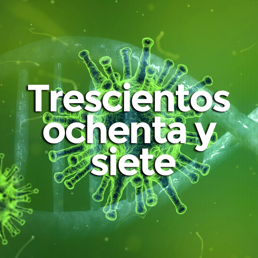 infobae's tweet photo. HAY 387 CASOS DE CORONAVIRUS EN ARGENTINA
🔸 143 CABA
🔸 105 PBA
🔸 40 Chaco
🔸 35 Cba
🔸 20 Sta Fe 
🔸 10 T del Fuego  
🔸 7 Tucumán
🔸 5 Mdz
🔸 4 E Ríos
🔸 4 R Negro
🔸 3 Ctes
🔸 3 Neuquén
🔸 2 S Cruz
🔸 1 S Luis
🔸 1 Salta
🔸 1 Jujuy
🔸 1 Sgo del E
🔸 1 Misiones
🔸 1 La Pampa https://t.co/dPfqoKnWzS