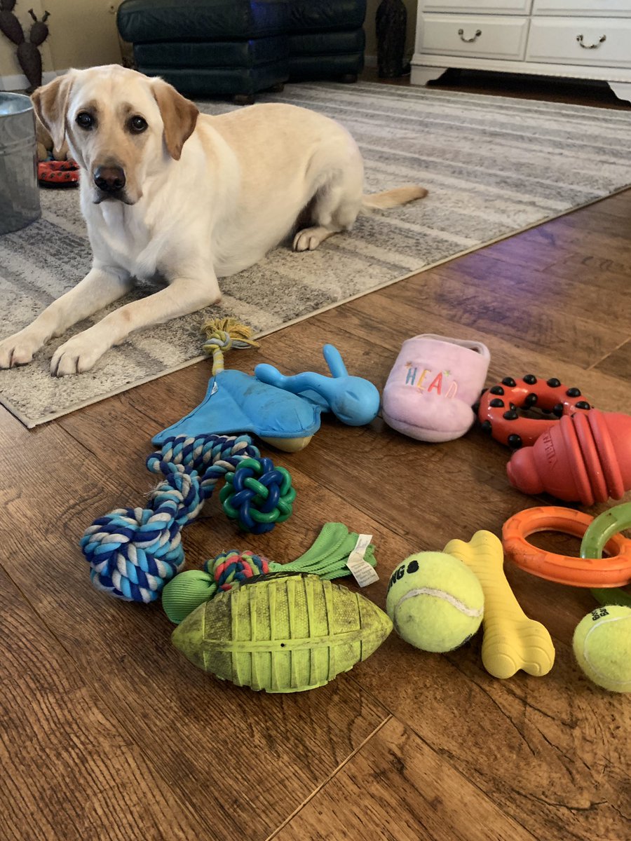 art_ths's tweet photo. @TISART2 Here is Scout’s! #colorwheelchallenge https://t.co/30MHWh8SOD