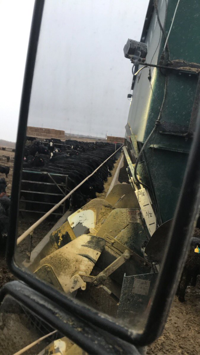 Joeyclark1997's tweet photo. Let’s take a break from talking about the virus and talk about cattle because it’s #NationalAgDay https://t.co/olpDZTgvw5