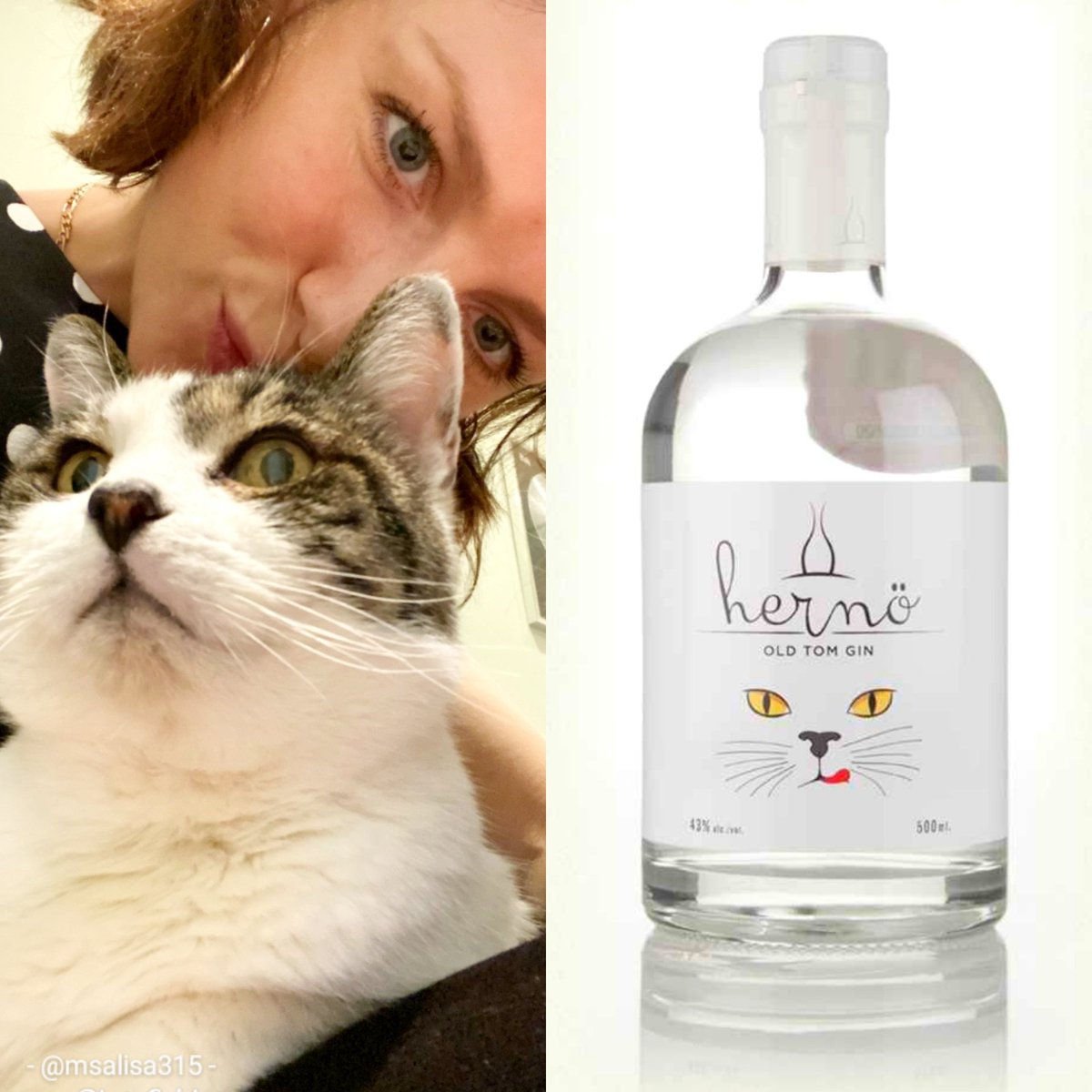 😺