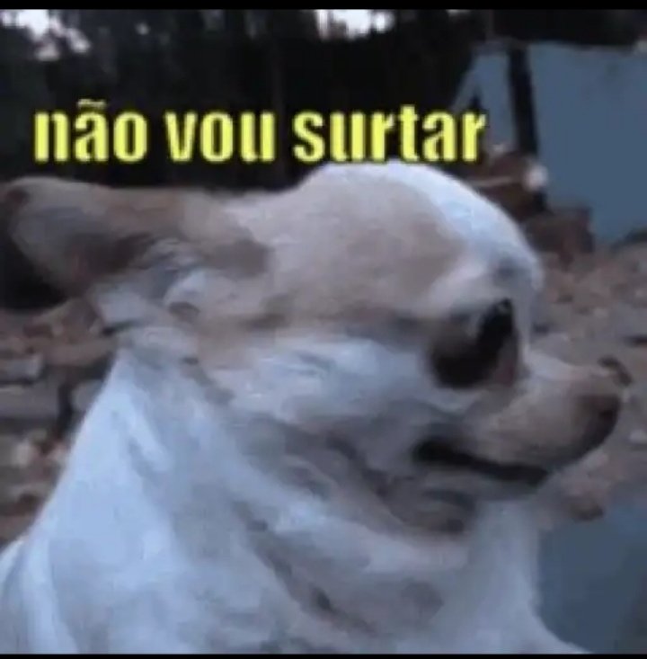 taokk_'s tweet photo. "Alguém toca em mim na rua"

Eu: https://t.co/gdTmSsqY5e