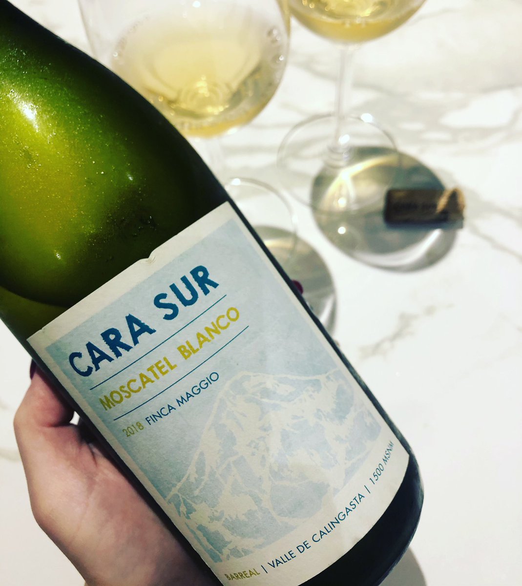 OzonoWines's tweet photo. Salmón & Moscatel Blanco! Extrañando los Martes de #DegusEnOzono!! #SoloVinosRicos #CuarentenaDia5 #QuedateEnCasa #CaraSur #Barreal #ValleDeCalingasta https://t.co/4BQnPipFcV