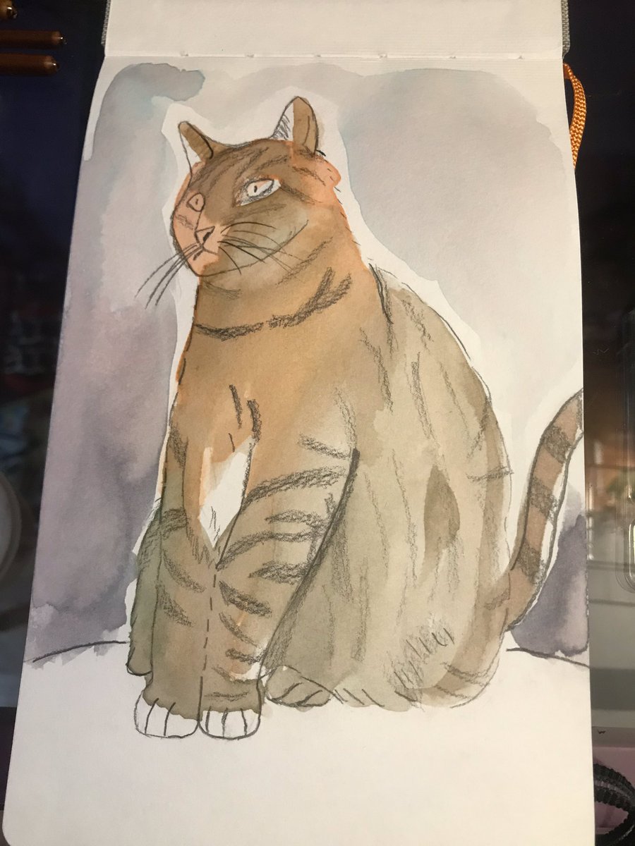 day 8 part 2, aka making up for not doing anything yesterday: a light and messy watercolor cat from  @yongchen1 video tutorial i followed: 