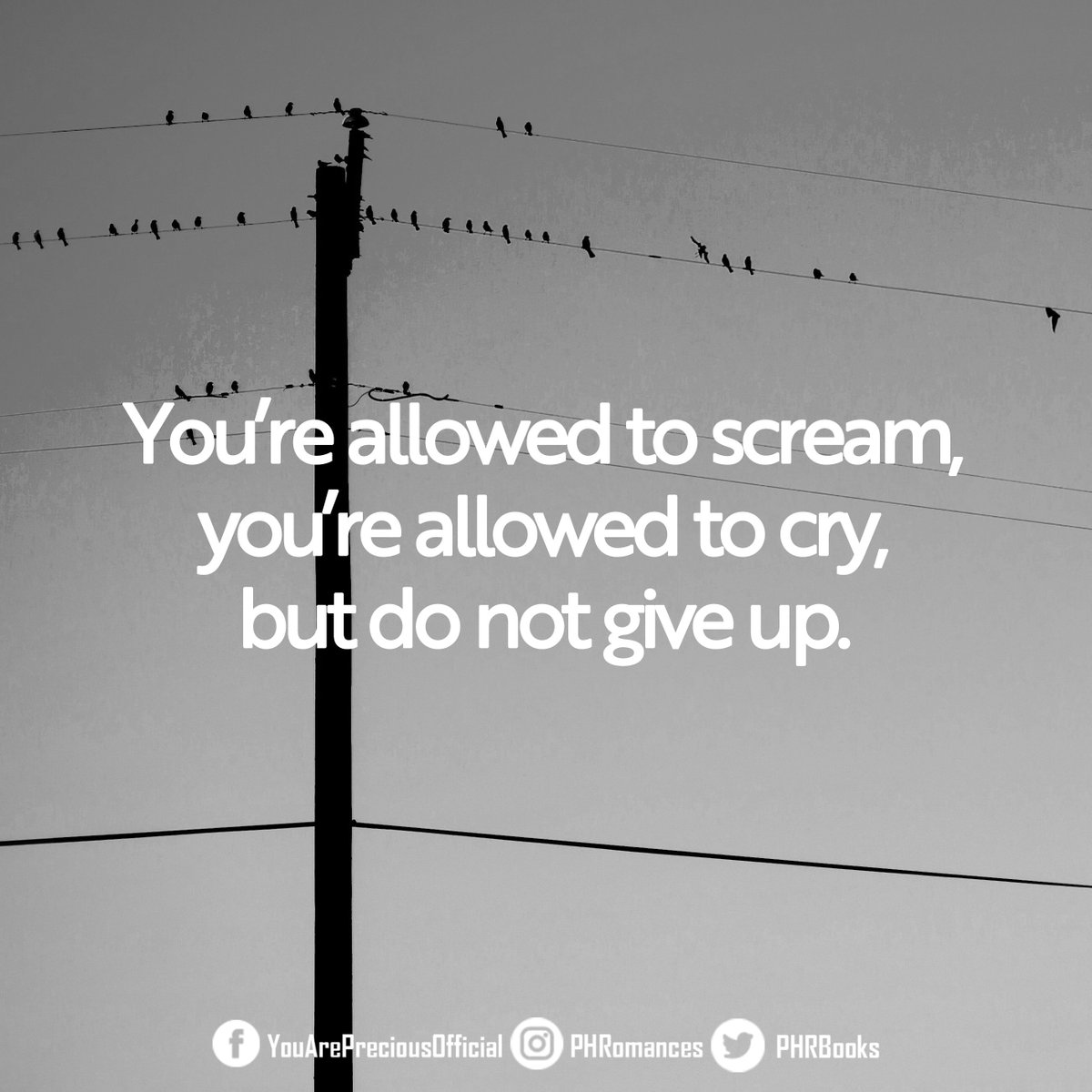 Good morning, and we hope you're all doing well. 💖