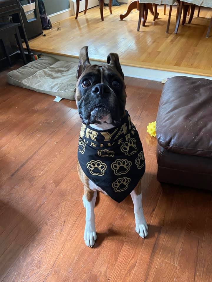 Friezer19's tweet image. Thanks for the sweet gear @BryantUniv. Geno is ready to join the Class of 2024! #BeBryant