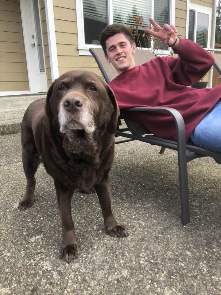 PLU_MensSoccer's tweet photo. #NationalPuppyDay was yesterday but it’s never too late to celebrate @PLU_MensSoccer players and their dogs! #golutes https://t.co/HIgUAXzF31