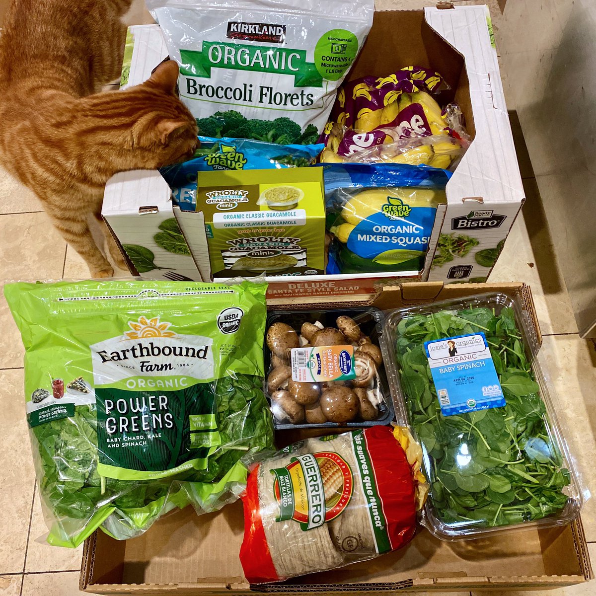 plantbasedprof's tweet photo. Wow! How is it that I have never tried COSTCO with instacart before?! 

Post your ‘hold-at-home’ healthy grocery hauls. What’s for dinner?

#wfpb #wfpbno #goplantbased #eatyourveggies #groceryhaul #costcofinds #stayathome https://t.co/xzaZQIS528