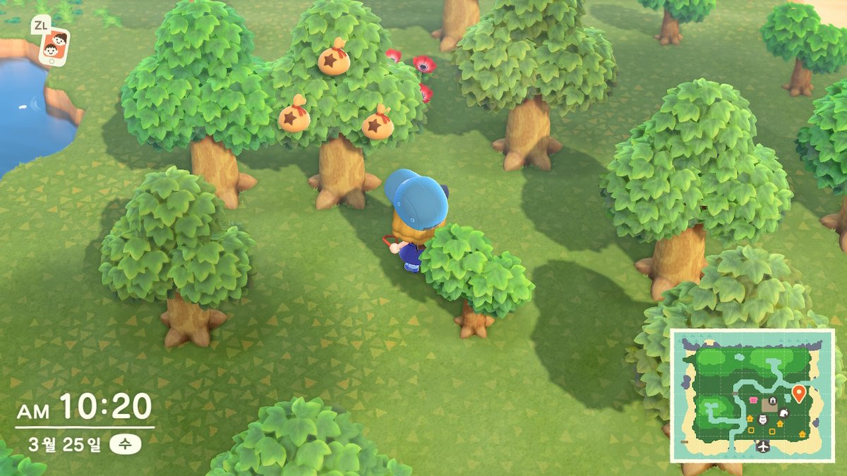 #동물의숲 #AnimalCrossing #ACNH #NintendoSwitch