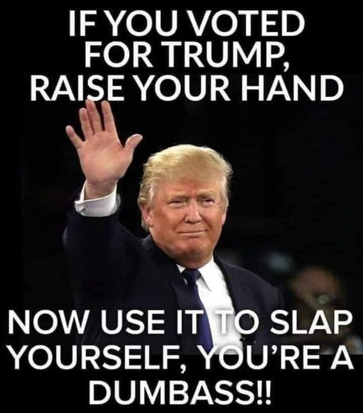 SYLVIAHAS5GEESE's tweet photo. SLAP SOME SENSE INTO YOURSELF! https://t.co/tKXKztyy2m